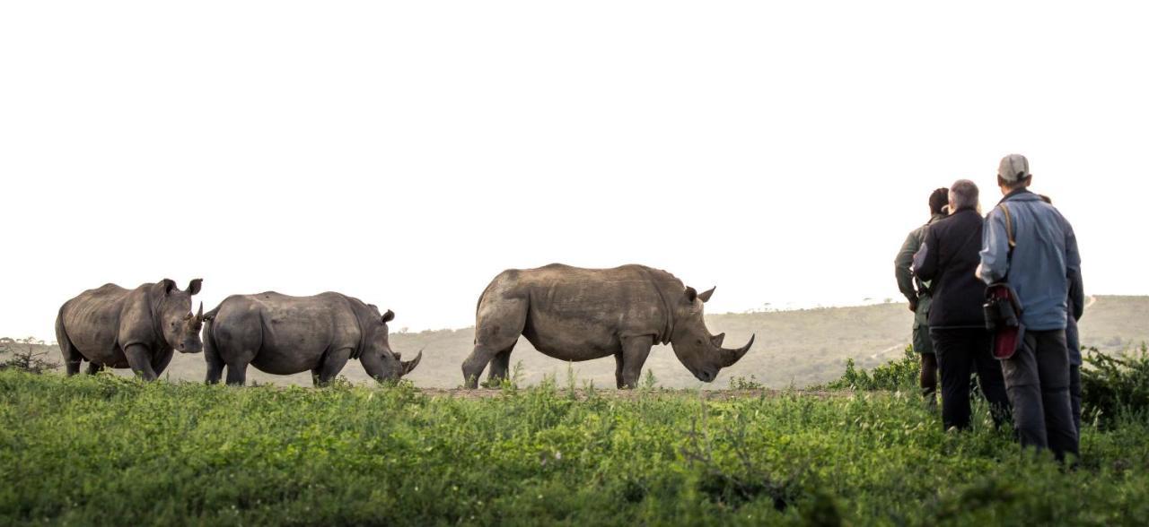 Rhino Ridge Safari Lodge KwaNompondo エクステリア 写真