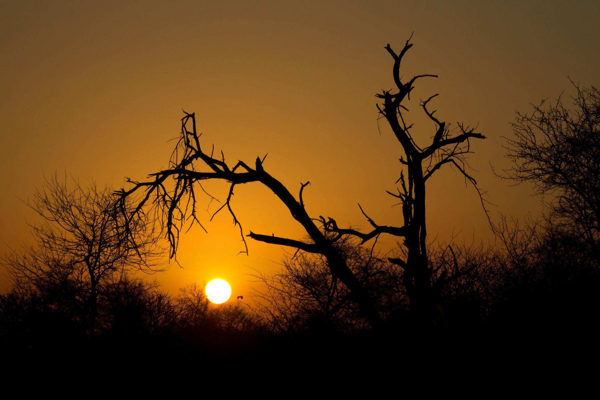 Rhino Ridge Safari Lodge KwaNompondo エクステリア 写真