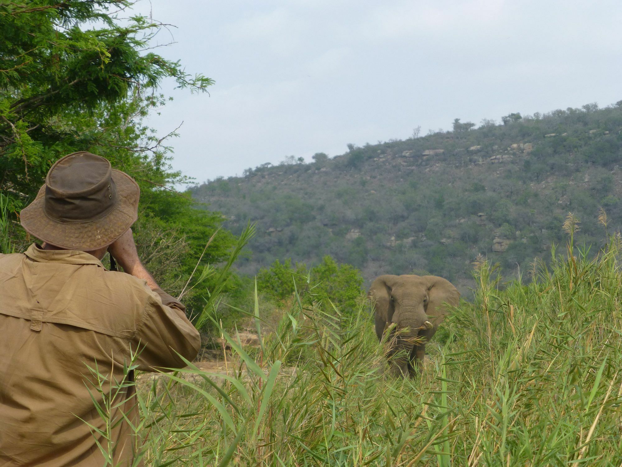 Rhino Ridge Safari Lodge KwaNompondo エクステリア 写真